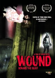 Wound (2010) poster
