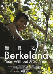 Year Without a Summer (2010) poster