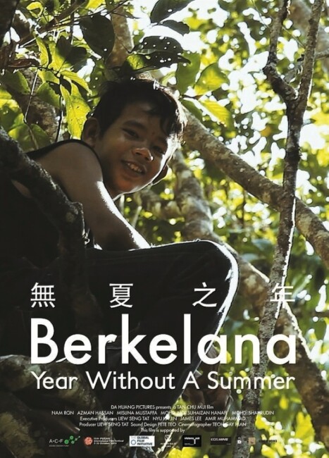 Year Without a Summer (2010) poster