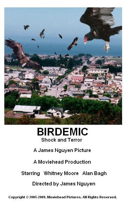 Birdemic: Shock and Terror (2008)