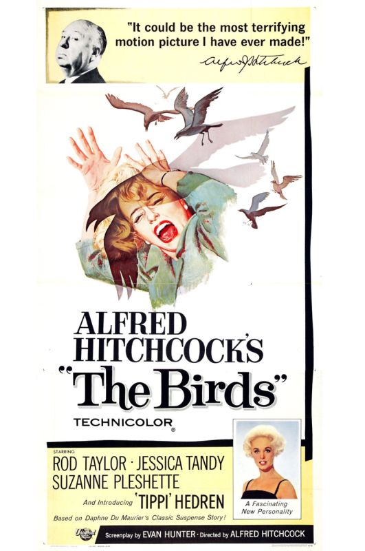 The Birds (1963)