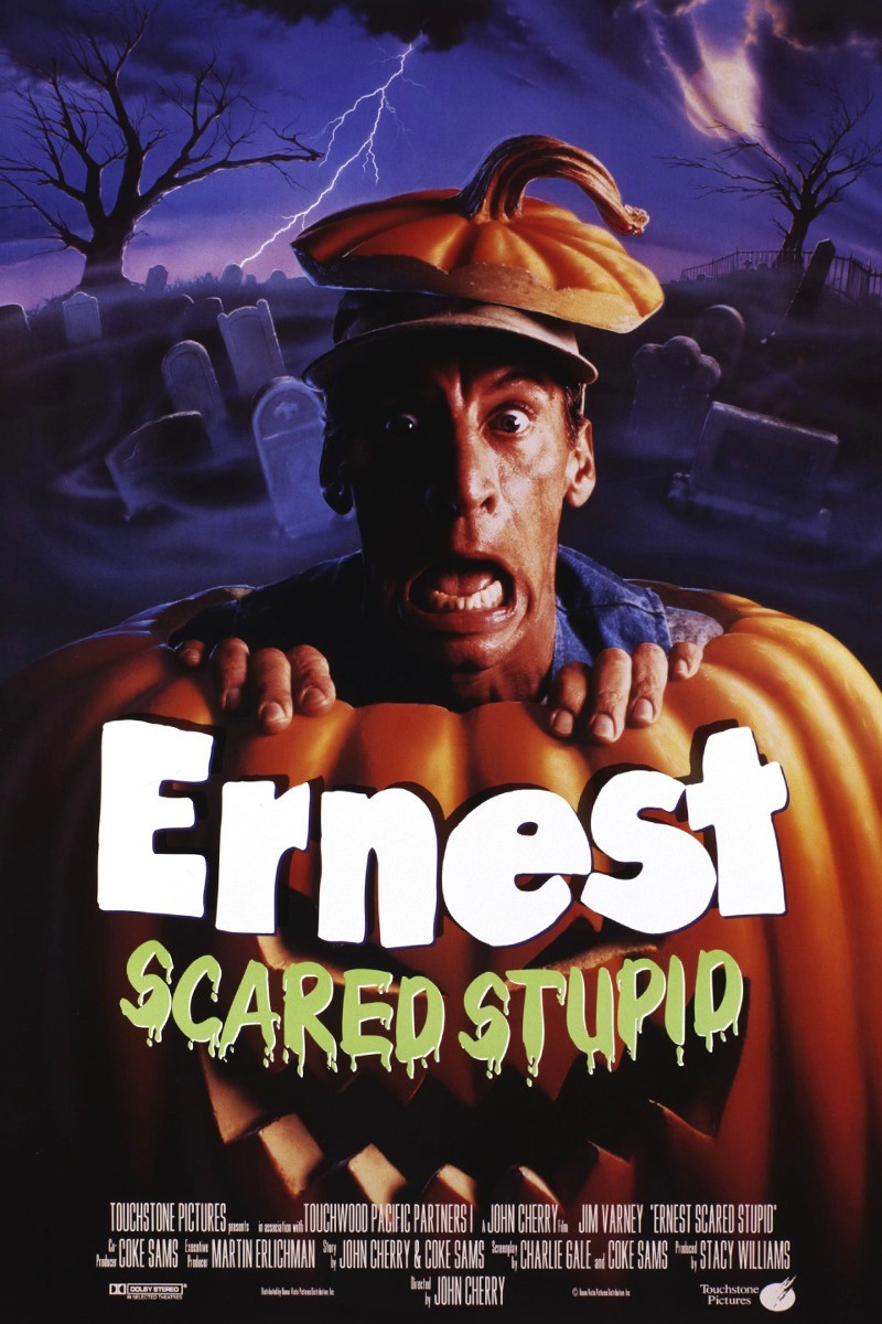 Ernest Goes To Camp Transcript Limited Signature Edition Custom frame |  RARE-T, image size:800x1200