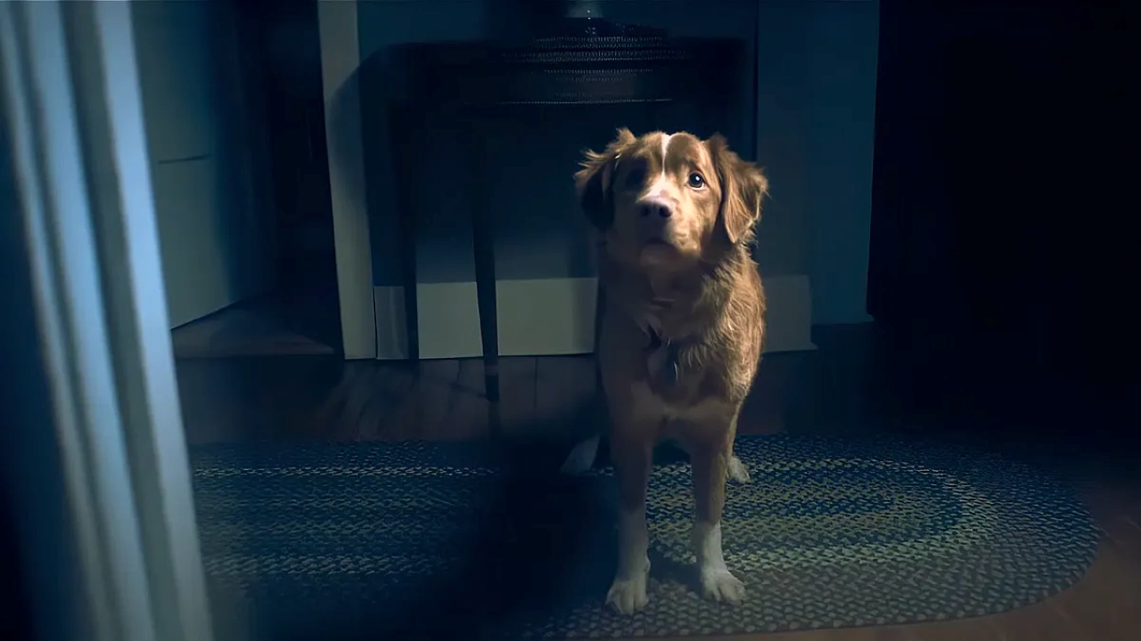 Indy the dog in Good Boy (2025)