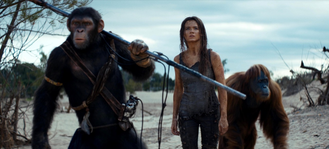 Noa (Owen Teague), Nova/Mae (Freya Allen) and Raka (Peter Macon) in Kingdom of the Planet of the Apes (2024)