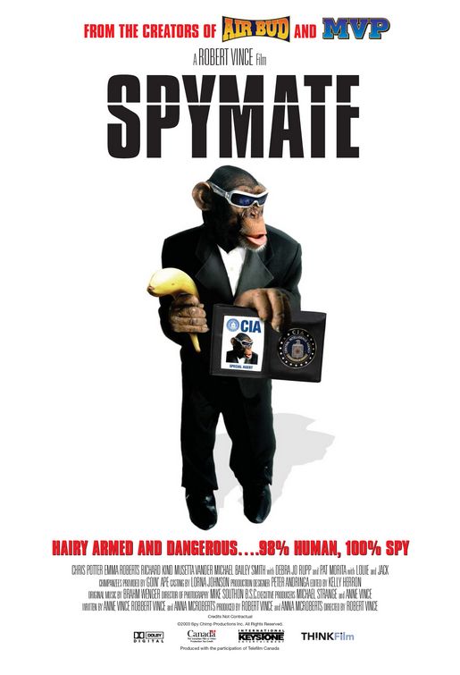 Spymate (2006)